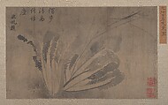 Cabbage and Insects, Xü Daoguang Chinese, Album leaf; black and grey wash on paper, China