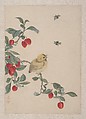 Birds, Insects and Flowers, Yi Zhai, Album of seven leaves; ink and color on paper, China