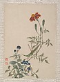 Birds, Insects and Flowers, Yi Zhai, Album of seven leaves; ink and color on paper, China