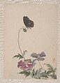 Birds, Insects and Flowers, Yi Zhai, Album of seven leaves; ink and color on paper, China