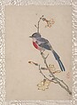 Birds, Insects and Flowers, Yi Zhai, Album of seven leaves; ink and color on paper, China