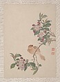 Birds, Insects and Flowers, Yi Zhai, Album of seven leaves; ink and color on paper, China