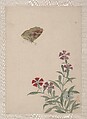 Birds, Insects and Flowers, Yi Zhai, Album of seven leaves; ink and color on paper, China