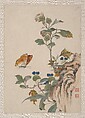 Birds, Insects and Flowers, Yi Zhai, Album of seven leaves; ink and color on paper, China