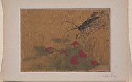 Grasshopper on Rock, Wen Liang  Chinese, Miniature from album of eleven paintings; ink and color on silk, China