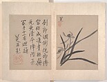 Album of miscellaneous paintings, Attributed to Bada Shanren (Zhu Da) (Chinese, 1626–1705), Album of twelve paintings; ink wash on paper, China
