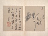 Album of miscellaneous paintings, Attributed to Bada Shanren (Zhu Da) (Chinese, 1626–1705), Album of twelve paintings; ink wash on paper, China