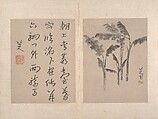 Album of miscellaneous paintings, Attributed to Bada Shanren (Zhu Da) (Chinese, 1626–1705), Album of twelve paintings; ink wash on paper, China