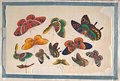 Album Containing Twelve Paintings of Insects, Unidentified artist, Album of twelve leaves; color on pith paper, China