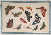 Album Containing Twelve Paintings of Insects, Unidentified artist, Album of twelve leaves; color on pith paper, China