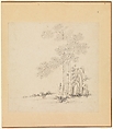 Miscellaneous Studies, Chen Hongshou (Chinese, 1598/99–1652), Album of twelve paintings; ink on paper, China