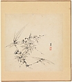 Miscellaneous Studies, Chen Hongshou (Chinese, 1598/99–1652), Album of twelve paintings; ink on paper, China