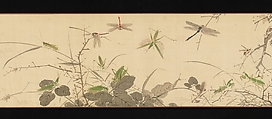 Insects and Grasses, Yamamoto Baiitsu (Japanese, 1783–1856), Handscroll; ink and color on silk, Japan