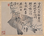 Plants and Vegetables, Unidentified artist, Album of eight double leaves; ink and color on paper, China