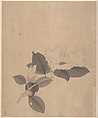 Figures, flowers, and landscapes, leaves a–d by Chen Hongshou (Chinese, 1598/99–1652), Album of eleven leaves; ink and color on silk, China