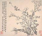 Plum blossoms, Jin Nong (Chinese, 1687–1773), Album of twelve leaves; ink on paper, China