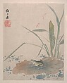 Landscapes, Flowers and Birds, Xiang Shengmo (Chinese, 1597–1658), Album of eight paintings; ink and color on paper, China