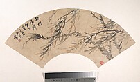 Cicada, Wu Xizai  Chinese, Folding fan mounted as an album leaf; ink and color on alum paper, China