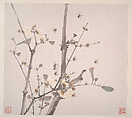 Insects and Flowers, Ju Lian (Chinese, 1828–1904), Album of eight leaves; ink and color on paper, China