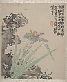 Ink Play, Jin Nong (Chinese, 1687–1773), Album of twelve paintings; ink and color on paper, China