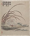 Ink Play, Jin Nong (Chinese, 1687–1773), Album of twelve paintings; ink and color on paper, China