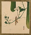 Lacquer Paintings of Various Subjects: Grasshopper on Gourd Vine, Shibata Zeshin Japanese, Lacquer on paper, Japan