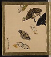 Lacquer Paintings of Various Subjects: Butterflies, Shibata Zeshin Japanese, Lacquer and mother-of-pearl fragments, Japan