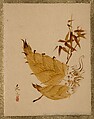 Bamboo Shoots, Shibata Zeshin Japanese, Album leaf; lacquer on paper, Japan