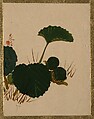 Worm on Green Leaved Plant, Shibata Zeshin Japanese, Album leaf; lacquer on paper, Japan