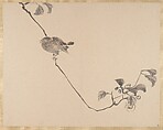 Painting, Shibata Zeshin (Japanese, 1807–1891), Album of seventeen sketches; watercolor on paper; mounted on natural silk, Japan