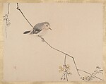 Painting, Shibata Zeshin (Japanese, 1807–1891), Album of seventeen sketches; watercolor on paper; mounted on natural silk, Japan