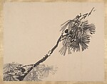 Painting, Shibata Zeshin (Japanese, 1807–1891), Album of seventeen sketches; watercolor on paper; mounted on natural silk, Japan