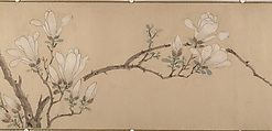 Magnolia, Unidentified artist, Handscroll; color on paper, China