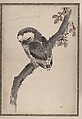 Album of Sketches by Katsushika Hokusai and His Disciples, Katsushika Hokusai (Japanese, Tokyo (Edo) 1760–1849 Tokyo (Edo)), Album of ninety-seven leaves; ink and color on paper, Japan