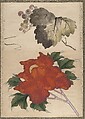 Album of Sketches by Katsushika Hokusai and His Disciples, Katsushika Hokusai (Japanese, Tokyo (Edo) 1760–1849 Tokyo (Edo)), Album of ninety-seven leaves; ink and color on paper, Japan