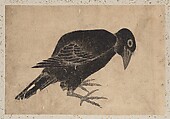 Album of Sketches by Katsushika Hokusai and His Disciples, Katsushika Hokusai (Japanese, Tokyo (Edo) 1760–1849 Tokyo (Edo)) and others, Album of one hundred and nine leaves; ink on paper, ink and color on paper, Japan