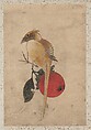 Album of Sketches by Katsushika Hokusai and His Disciples, Katsushika Hokusai (Japanese, Tokyo (Edo) 1760–1849 Tokyo (Edo)) and others, Album of one hundred and nine leaves; ink on paper, ink and color on paper, Japan