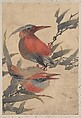 Album of Sketches by Katsushika Hokusai and His Disciples, Katsushika Hokusai (Japanese, Tokyo (Edo) 1760–1849 Tokyo (Edo)) and others, Album of one hundred and nine leaves; ink on paper, ink and color on paper, Japan
