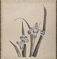 Album of Sketches by Katsushika Hokusai and His Disciples, Katsushika Hokusai (Japanese, Tokyo (Edo) 1760–1849 Tokyo (Edo)), Album of ninety-seven leaves; ink and color on paper, Japan