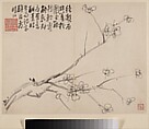 Album of Blossoming Plum, Li Fangying (Chinese, 1696–1754), Album of eight paintings; ink on paper, China