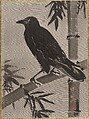 Crow on a Bamboo Branch, Kawanabe Kyōsai 河鍋暁斎  Japanese, Album leaf; ink and color on silk, Japan