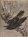 Crow on a Branch, Kawanabe Kyōsai 河鍋暁斎  Japanese, Album leaf; ink and color on silk, Japan
