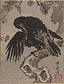 Crow on a Branch, Kawanabe Kyōsai 河鍋暁斎  Japanese, Album leaf; ink and color on silk, Japan