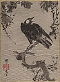 Starlings on a Branch, Kawanabe Kyōsai 河鍋暁斎  Japanese, Album leaf; ink and color on silk, Japan