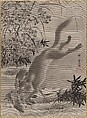 Fox Catching Bird, Kawanabe Kyōsai 河鍋暁斎  Japanese, Album leaf; ink and color on silk, Japan