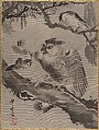 Owl Mocked by Small Birds, Kawanabe Kyōsai 河鍋暁斎  Japanese, Album leaf; ink and color on silk, Japan