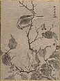 Bird and Frog, Kawanabe Kyōsai 河鍋暁斎  Japanese, Album leaf; ink and color on silk, Japan