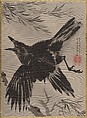 Crow and Willow Tree, Kawanabe Kyōsai 河鍋暁斎  Japanese, Album leaf; ink and color on silk, Japan