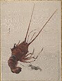 Crayfish, Watanabe Seitei  Japanese, Album leaf; ink and color on silk, Japan
