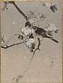 Birds on a Flowering Branch, Watanabe Seitei  Japanese, Album leaf; ink and color on silk, Japan